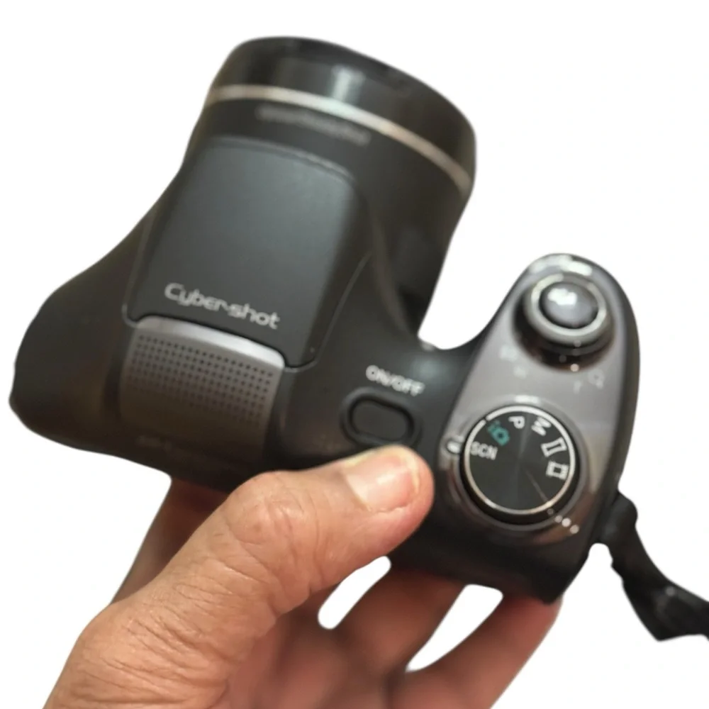 Sony Black Digital Camera with Strap